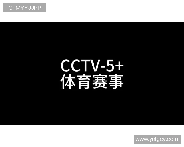 CCTV1体育赛事直播的魅力与影响力解析