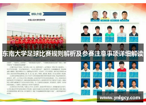 东南大学足球比赛规则解析及参赛注意事项详细解读