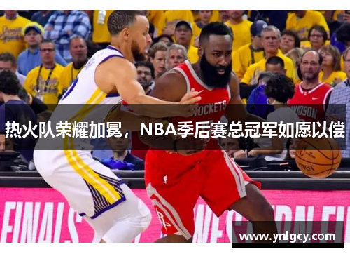 热火队荣耀加冕，NBA季后赛总冠军如愿以偿